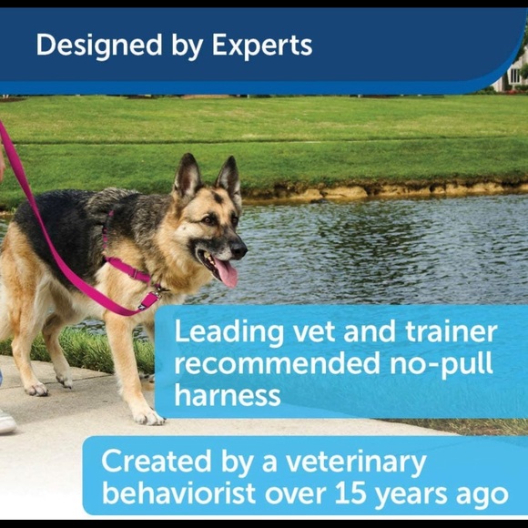 No Pull Dog Harness - Picture 8 of 10